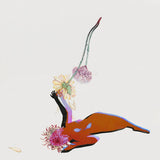 Future Islands - Far field (CD)