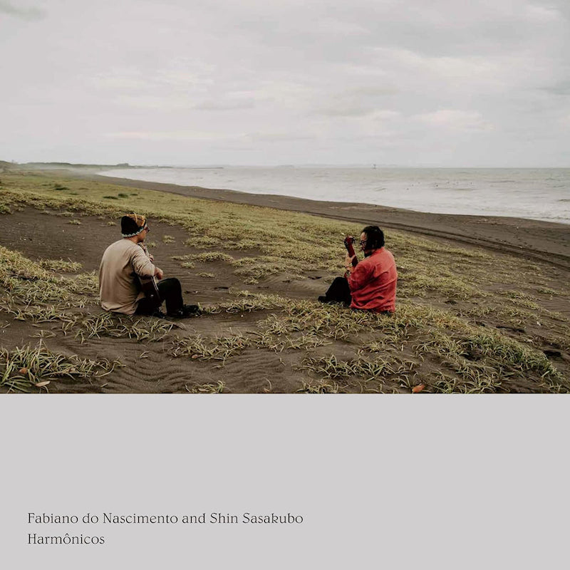 Fabiano Do Nascimento & Shin Sasakubo - Harmonicos (CD) - Velvet Music