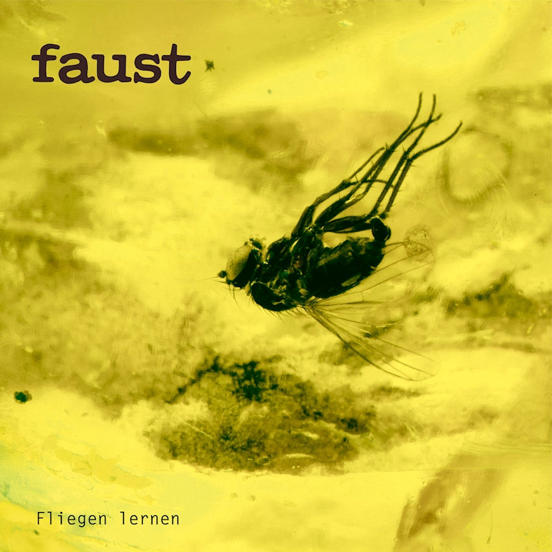Faust - Fliegen lernen (transparent) (LP)
