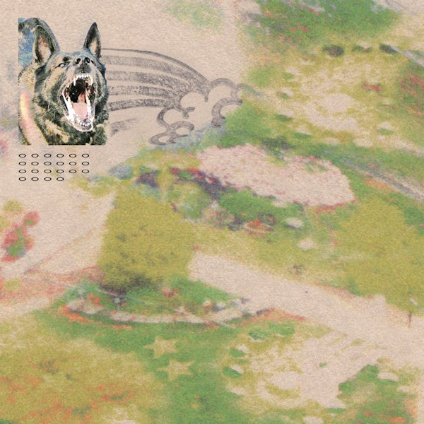 Feeble Little Horse - Girl with fish (LP) - Velvet Music