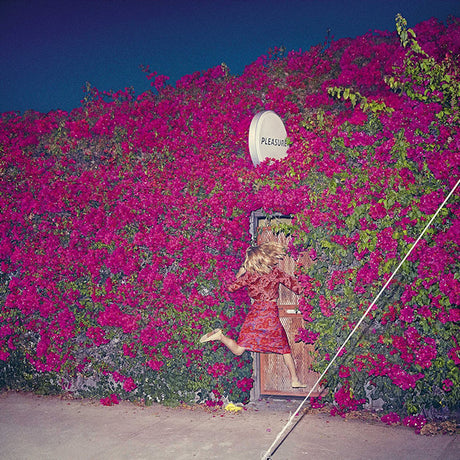 Feist - Pleasure (LP) - Velvet Music
