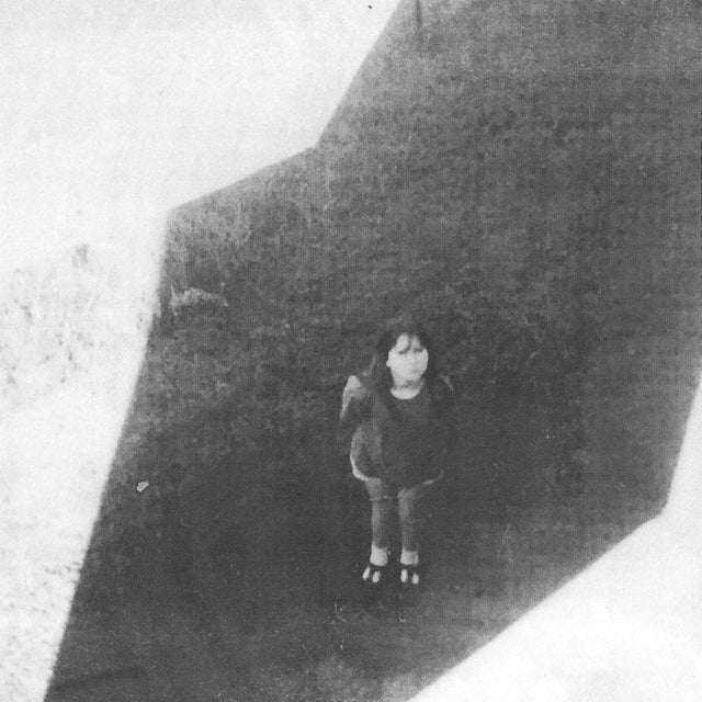 Field Commander Ali - The next from field commander (LP) - Velvet Music