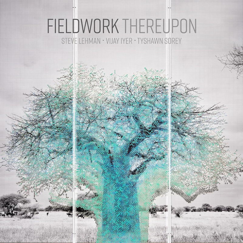 Fieldwork Feat. Vijay Iyer & Steve - Thereupon (CD)