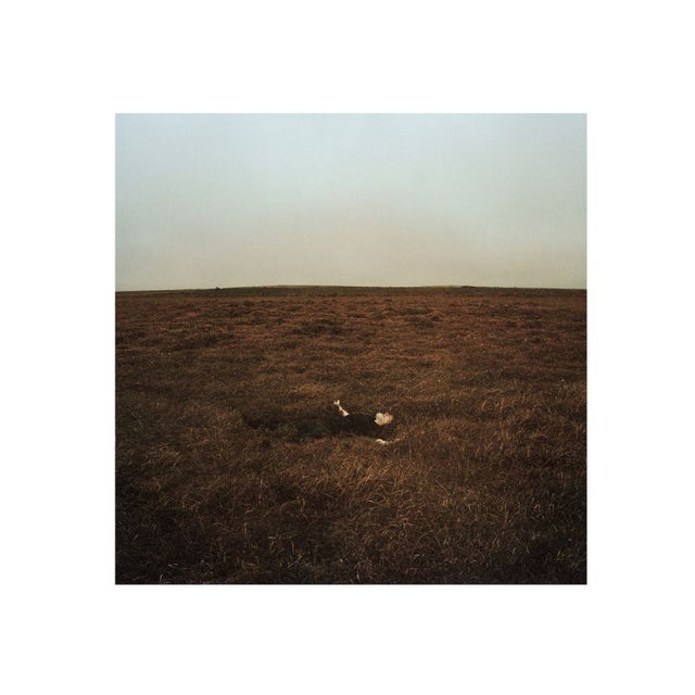 Fink - The city coming to erase it all (LP) - Velvet Music