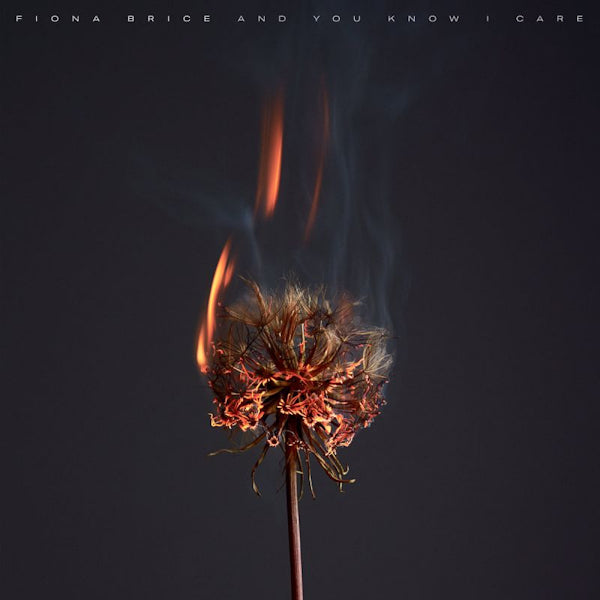 Fiona Brice - And you know i care (CD) - Velvet Music