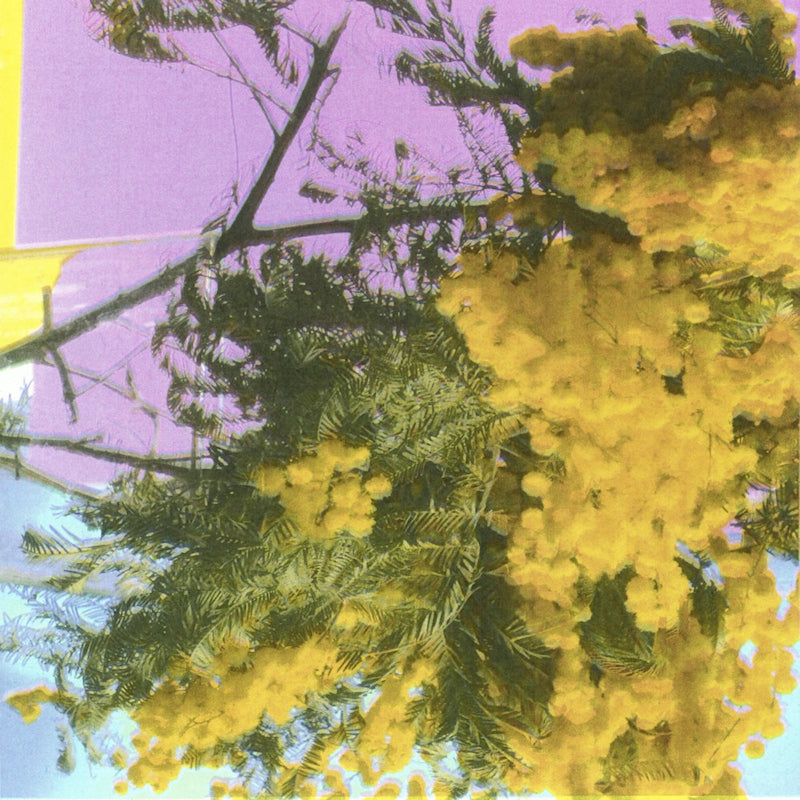 Four Tet - Into dust (12-inch maxi single)