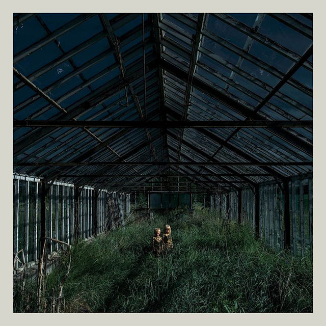 Foxing - Dealer (LP) - Velvet Music