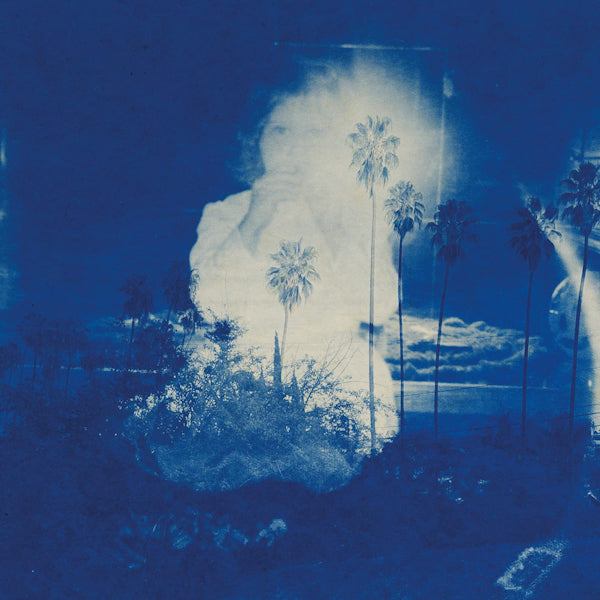Fruit Bats - A river running to your heart (CD) - Velvet Music