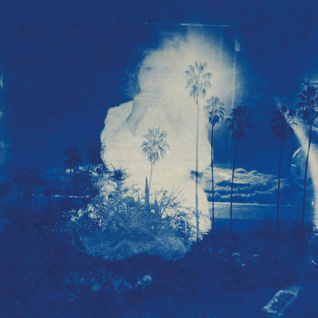 Fruit Bats - A river running to your heart (LP) - Velvet Music