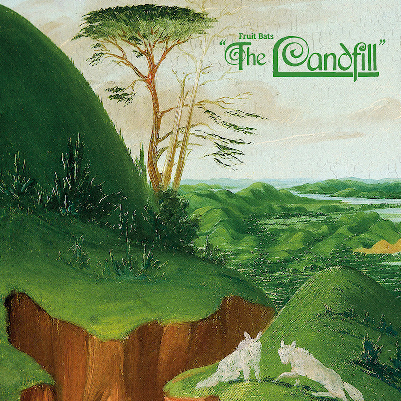 Fruit Bats - The landfill (LP)