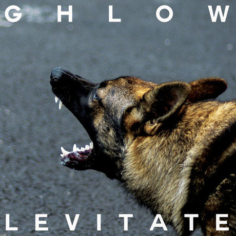 Ghlow - Levitate (LP) - Velvet Music