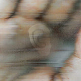 Global Communication - Chapterhouse retranslated by global communication - blood music: pentamerous metamorphosis (LP) - Velvet Music