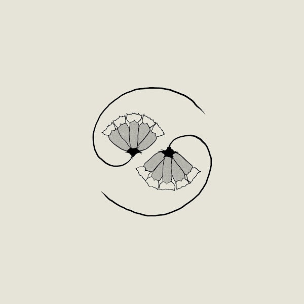 Godspeed You Black Emperor - G_d's pee at state's end (CD) - Velvet Music