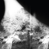 Godspeed You Black Emperor - Asunder, sweet & other distress (CD)