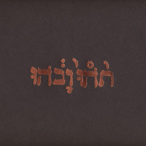 Godspeed You Black Emperor - Slow riot for new zero kanada (LP)
