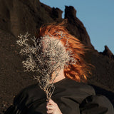 Goldfrapp - Silver eye (LP) - Velvet Music