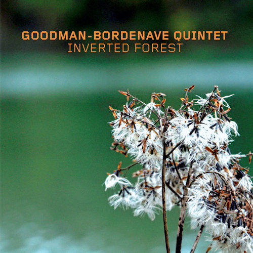Goodman-bordenave Quintet - Inverted forest (CD) - Velvet Music