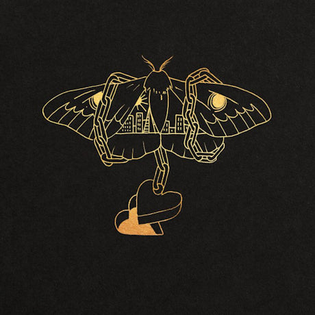 David Gray - Gold in a brass age (CD) - Velvet Music