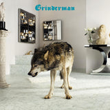 Grinderman - Grinderman 2 (LP) - Velvet Music