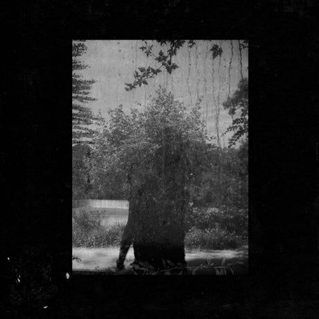 Grouper - Ruins (LP) - Velvet Music