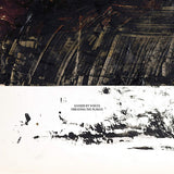 Guided By Voices - Sweating the plague (LP) - Velvet Music