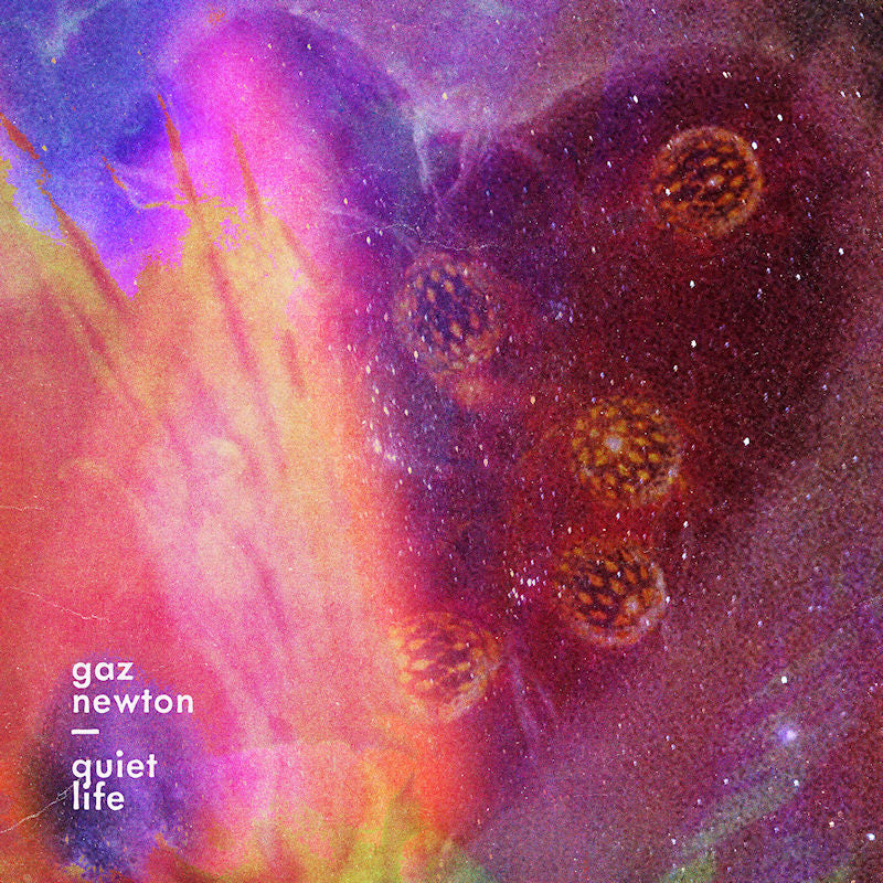 Gaz Newton - Quiet life (CD)