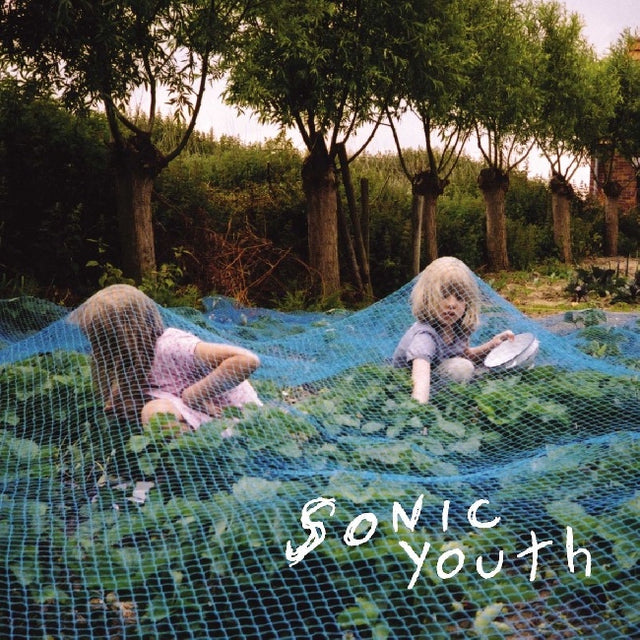Sonic Youth - Murray street (LP) - Velvet Music