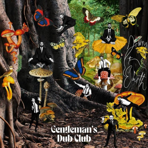 Gentleman's Dub Club - Down to earth (LP) - Velvet Music