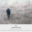 Peeters, Yannick | Gingerblackginger | Berne, Tim - Smalltalk code (CD) - Velvet Music