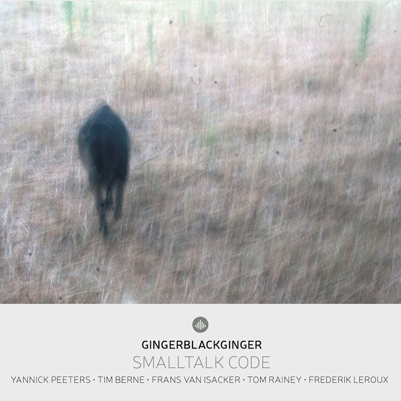 Peeters, Yannick | Gingerblackginger | Berne, Tim - Smalltalk code (CD) - Velvet Music