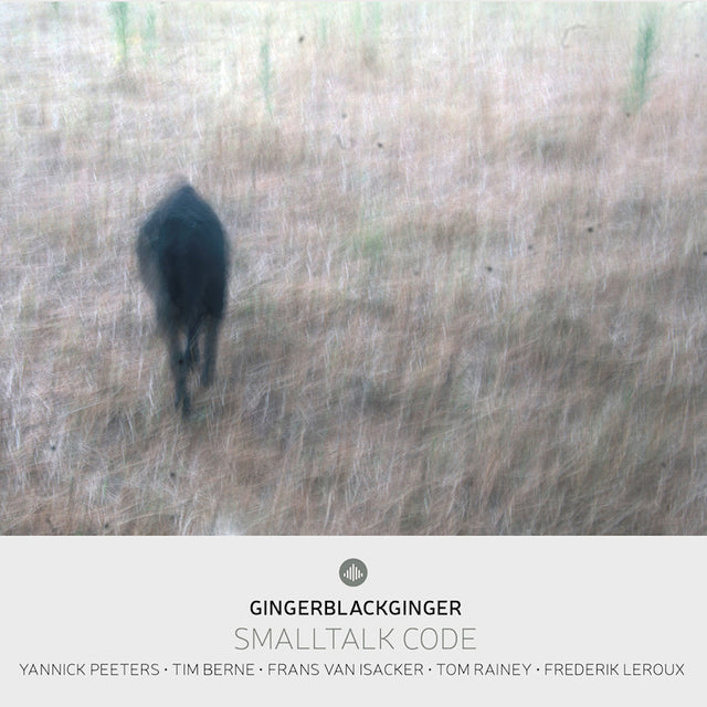 Peeters, Yannick | Gingerblackginger | Berne, Tim - Smalltalk code (CD) - Velvet Music
