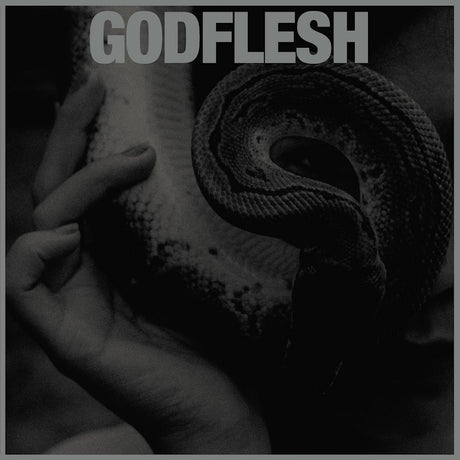Godflesh - Purge (LP) - Velvet Music