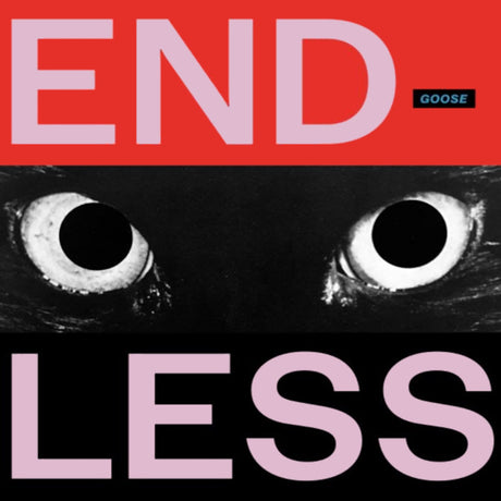 Goose - Endless (LP) - Velvet Music