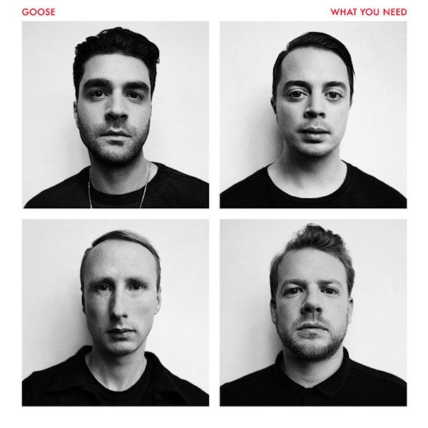 Goose - What you need (LP) - Velvet Music
