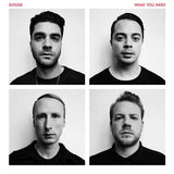 Goose - What you need (LP) - Velvet Music