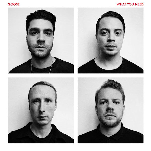 Goose - What you need (LP) - Velvet Music