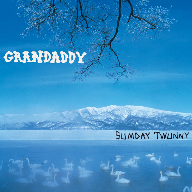 Grandaddy - Sumday twunny (LP) - Velvet Music