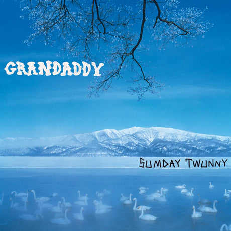 Grandaddy - Sumday twunny (LP) - Velvet Music