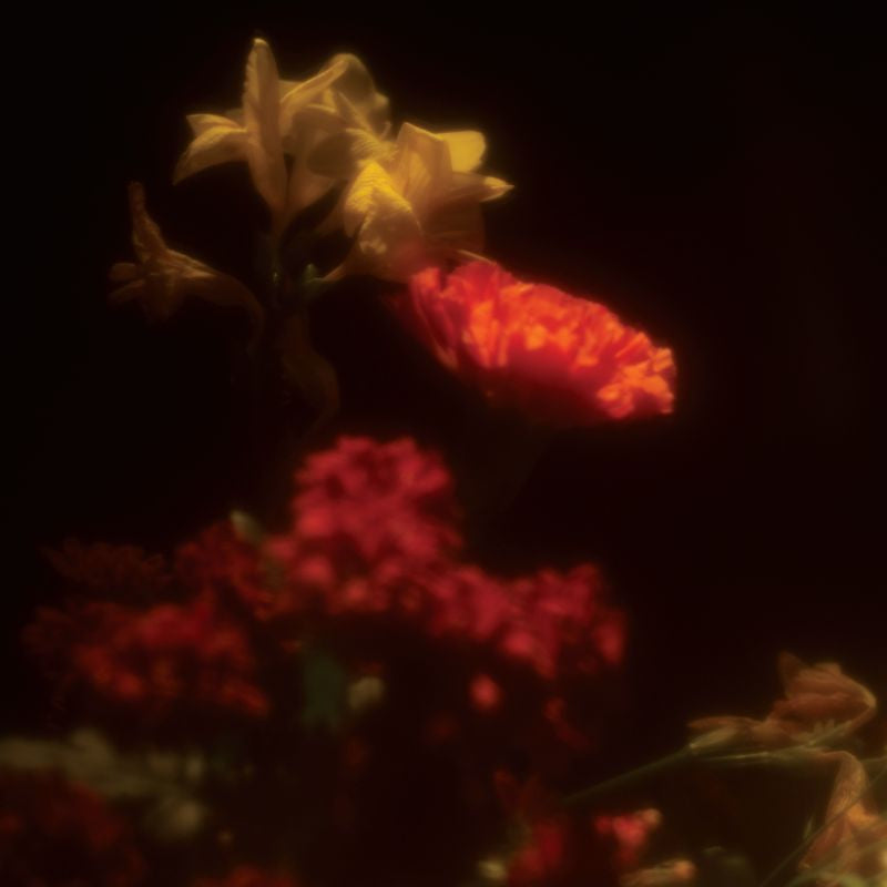 Gregoire Gerstmans - Hypnagogie (CD)