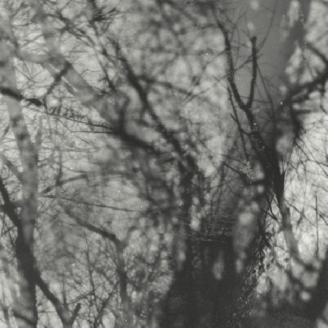 Grouper - Way their crept (LP)
