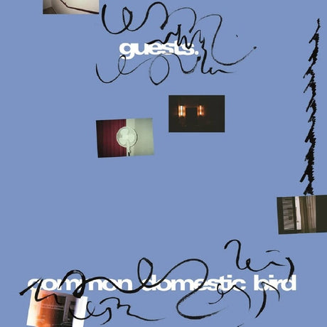 Guests - Common domestic bird (LP) - Velvet Music