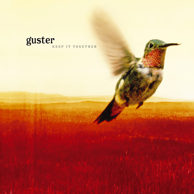 Guster - Keep it together (LP) - Velvet Music