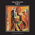 Guus Meeuwis & Vagant - Schilderij (LP) - Velvet Music