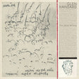 Glen Hansard - This wild willing (CD) - Velvet Music