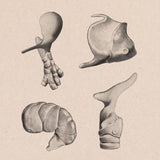 Heisa - Heisa (CD) - Velvet Music
