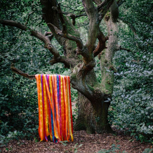 James Holden & The Animal Spirits - The animal spirits (CD) - Velvet Music
