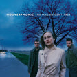 Hooverphonic - Magnificent tree (LP) - Velvet Music