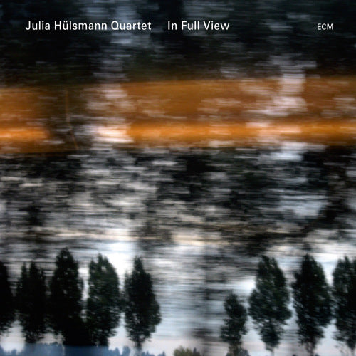 Julia Hulsmann -quartet- - In full view (CD)