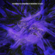 Hainbach Ensemble Modern - Primer (LP) - Velvet Music