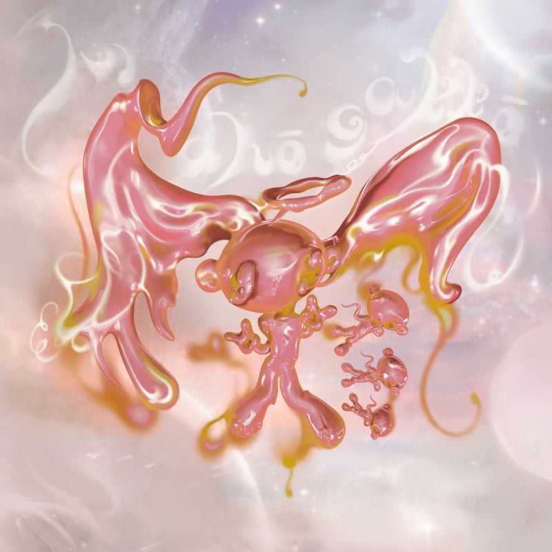 Hakushi Hasegawa - Mahogakko (LP) - Velvet Music